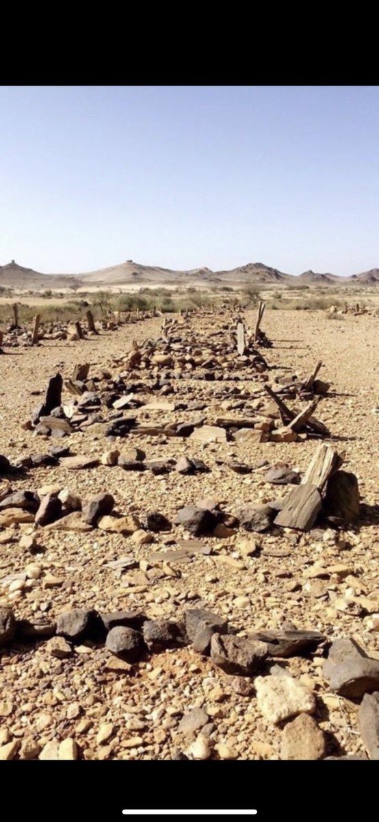nsnsb52's tweet photo. #اتاتورك
حن اخوان بدوه يوم انها ارض صحراء
غديتو منسيين بأرضنا تقل دفنت كلاب https://t.co/fWONdzcqCy