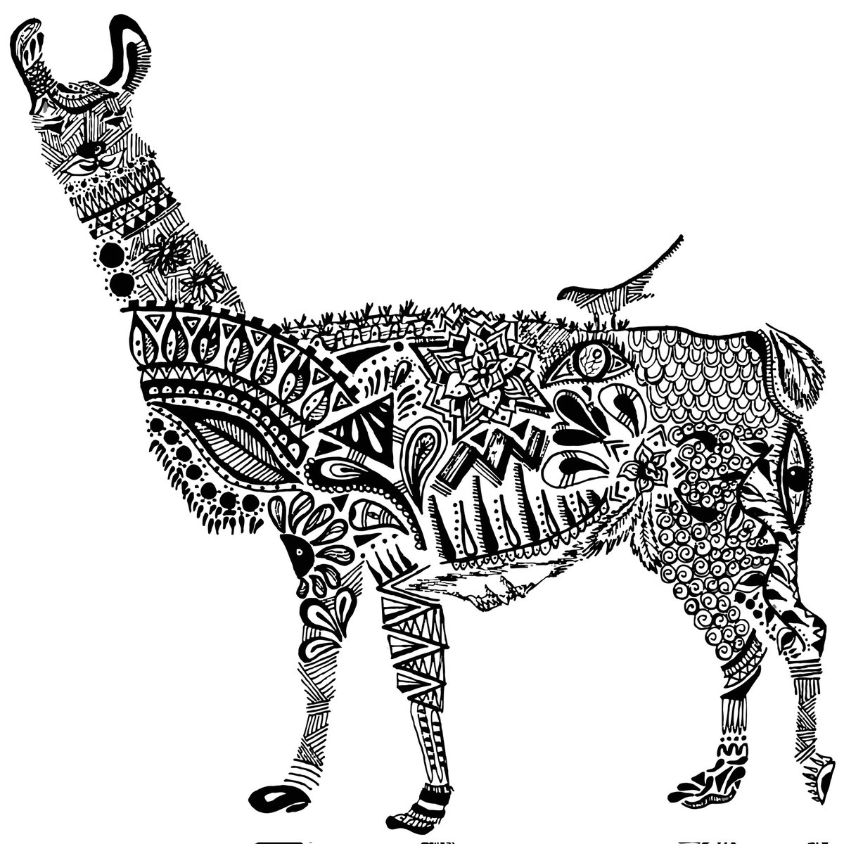 louizedesign's tweet photo. Late GMโ๏ธ #NFTCommunity !!!
Happy #llamaste saturday for everyone!
Maori Llama
0.15 $sol
3 ed left ๐ฅ
The Llama is a symbol of peace and prosperity. It also represents the power of serenity and silence.
#SolanaNFTs #solana
Link ๐ https://t.co/OSp0L6ecav