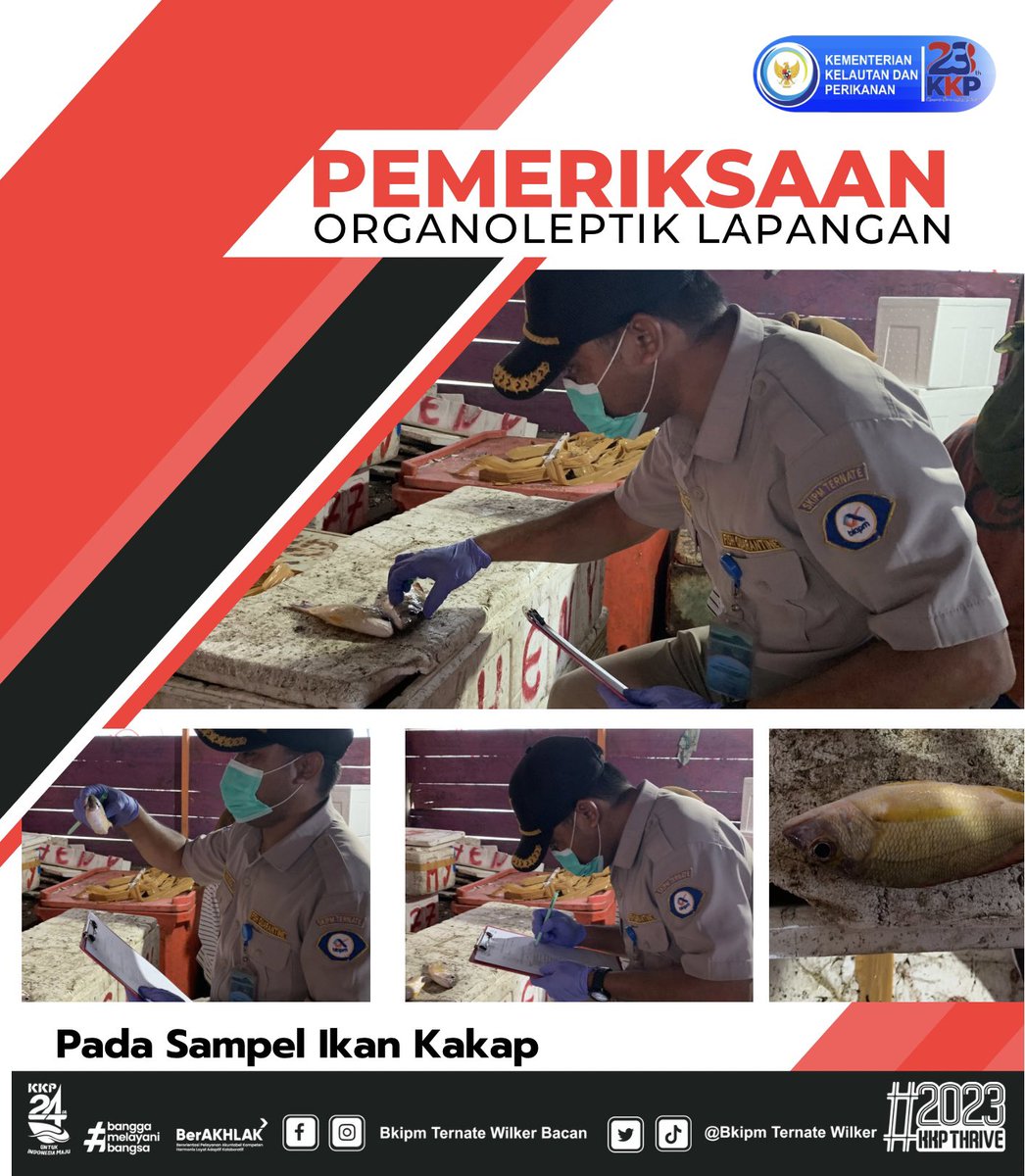 30/12/23 Giat Pengujian Organoleptik Lapangan pada sampel Ikan Kakap Segar #KKPThrive <a href="/kkpgoid/">KKP RI</a> @bkipm_kkp @BKIPMTernate <a href="/arsal_azis/">A r s a l</a> @Ambodallemardia <a href="/UHardianto/">unggul hardianto</a> <a href="/Naidil_yahya28/">Naidil_yahya ( DhilastBorju)</a> <a href="/AliNazarudin/">Nazarudin ALI</a>