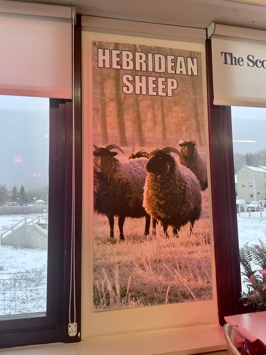Found a powerful meme in Scotland