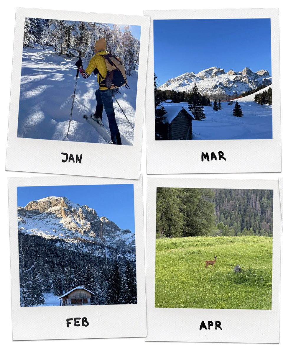 holimites tweet media