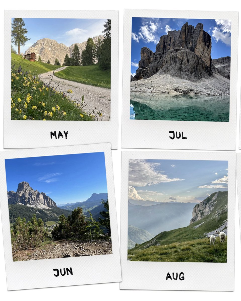 holimites tweet media