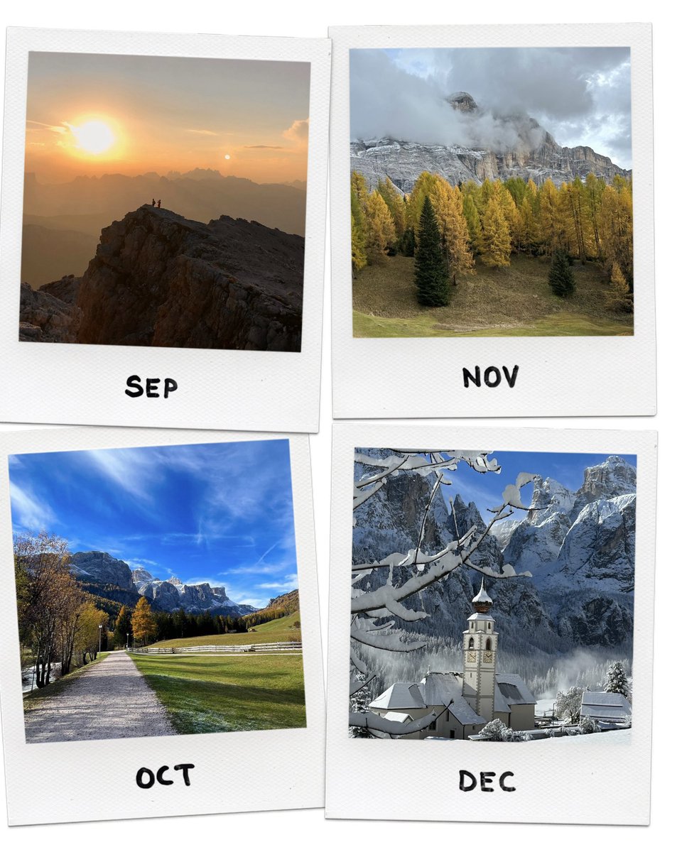 holimites tweet media