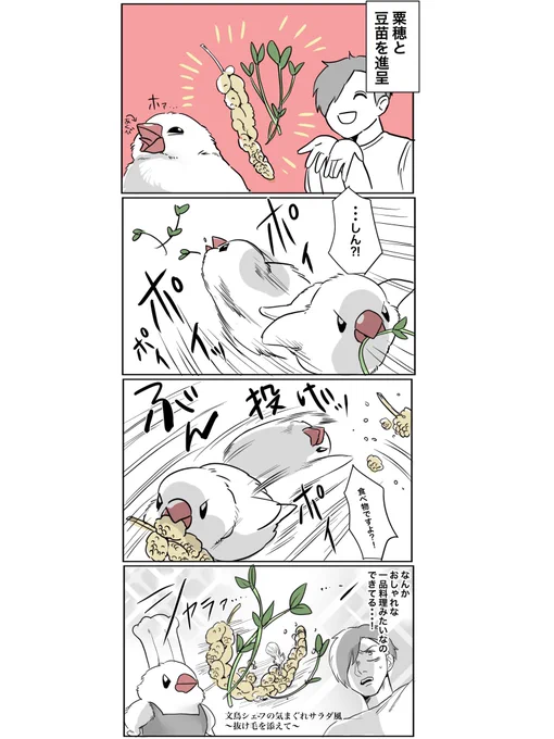 おやつは美味しく食べて下さい #文鳥