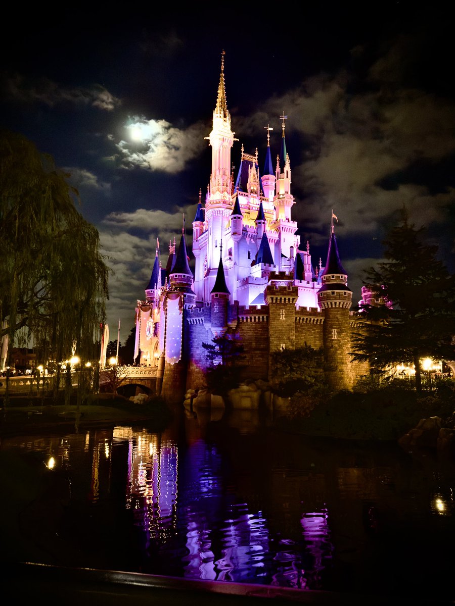 めっちゃ綺麗じゃね？