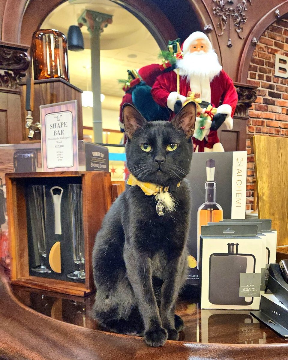 ChicagoBarStore's tweet photo. The best things? ARE HERE! Come shop with us for a perfect NYE gift!  🎇 
*
*
https://t.co/pROlxIprzf
#chicagobarshop #chicagobarstore #nyeiscoming #bestthings #perfectgifts #catoftheday #blackcat #retail #bardesigns https://t.co/CiD3rc7slt