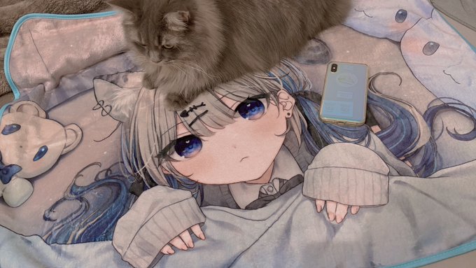 ブランケットの写真載せてなかった!
こんな感じです 結構大きいよ～ 