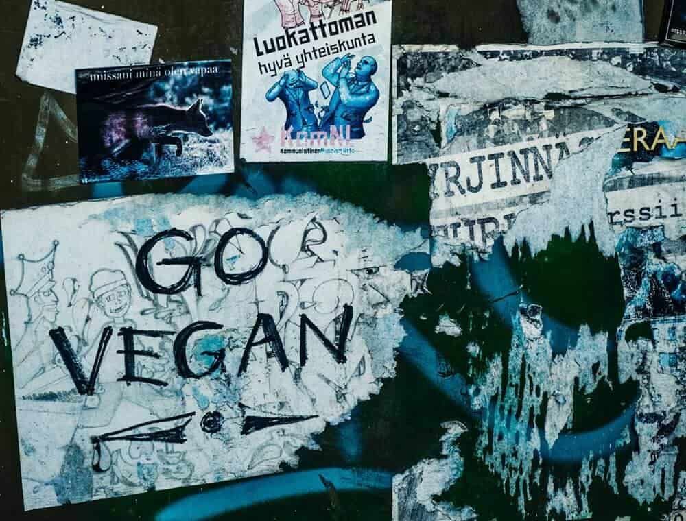 theveganword's tweet photo. Made a New Years resolution to go vegan? Here's how to do it! https://t.co/alU3nRmrWU https://t.co/W8SIR2rOsj
