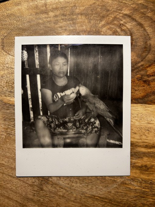 M&aacute;s fotitos Polaroid de estos d&iacute;as que he pasado en el Amazonas ecuatoriano con la comunidad Sapara:<a href="/tag/larim"class="tags"><span>#larim</span></a><a href="/tag/boya"class="tags"><span>#boya</span></a>
