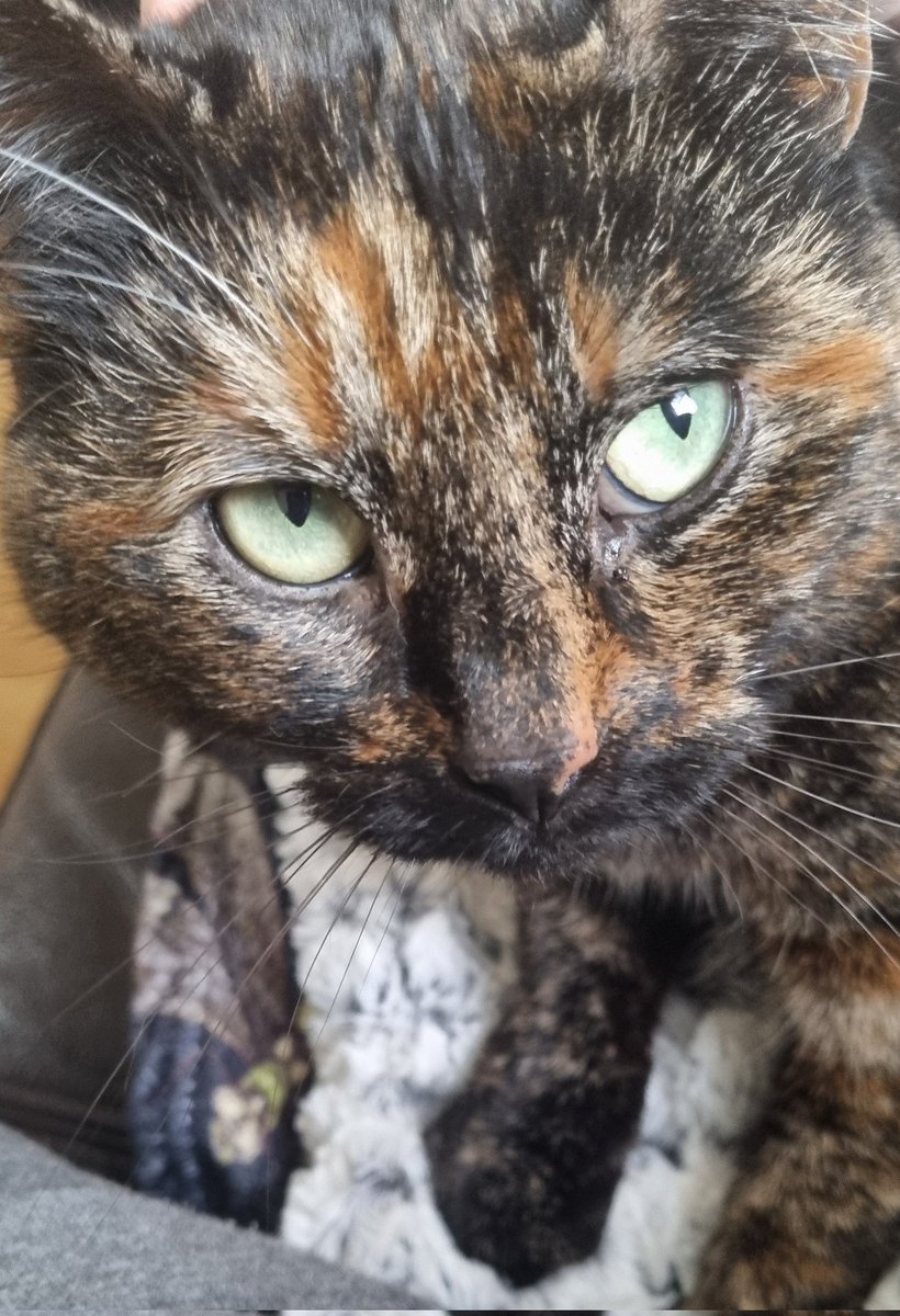 Karen Brace tweet media