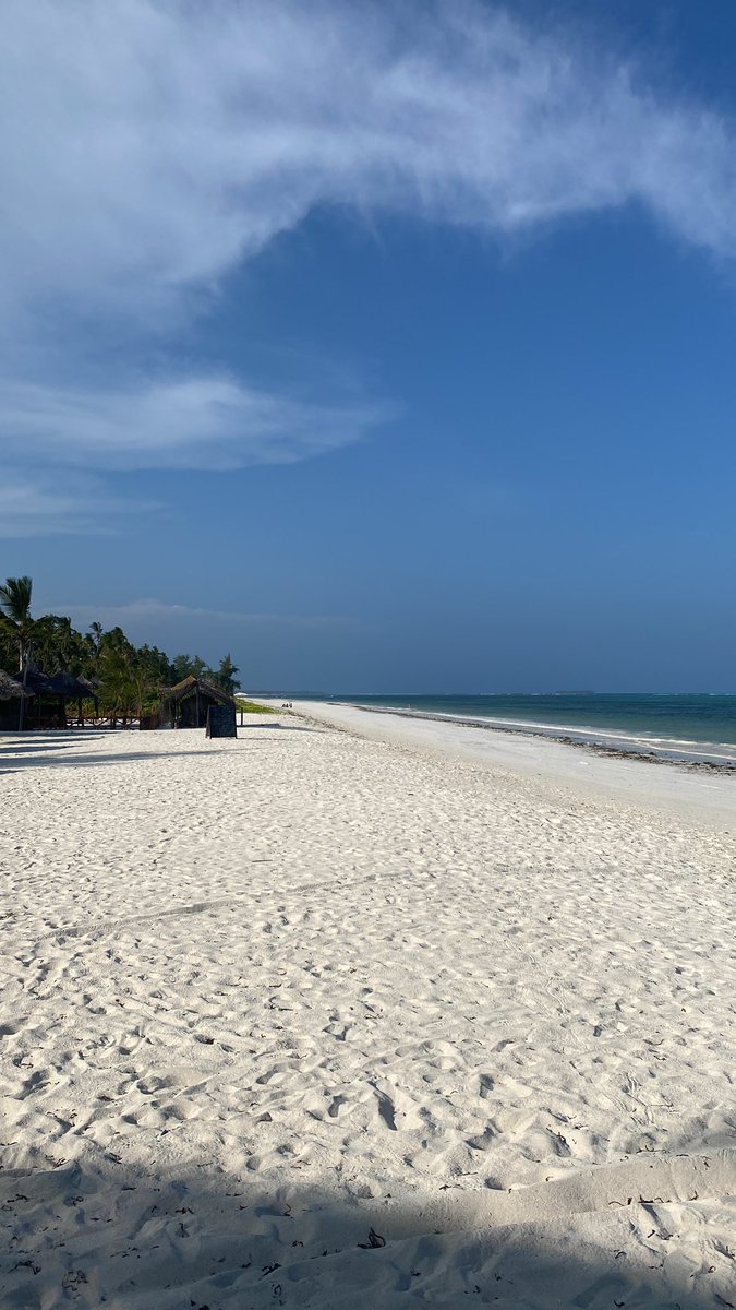 albusaidi355's tweet photo. Zanzibar 🇹🇿 https://t.co/yCkeBNTaog