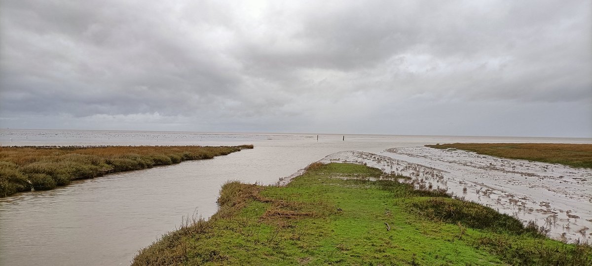hiddensouthport's tweet image. Afternoon stroll #Marshside