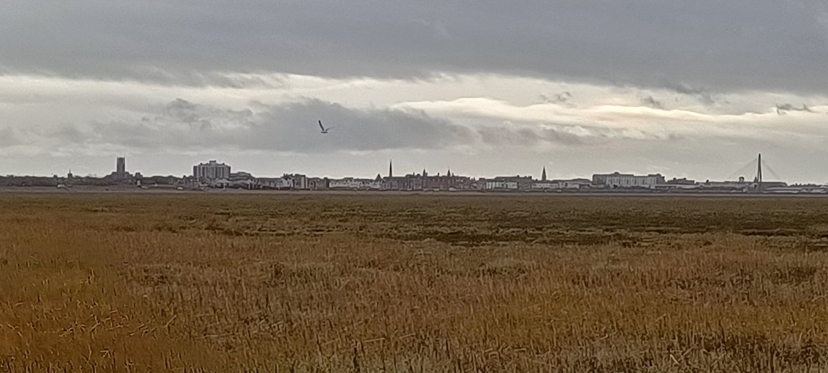 hiddensouthport's tweet image. Afternoon stroll #Marshside