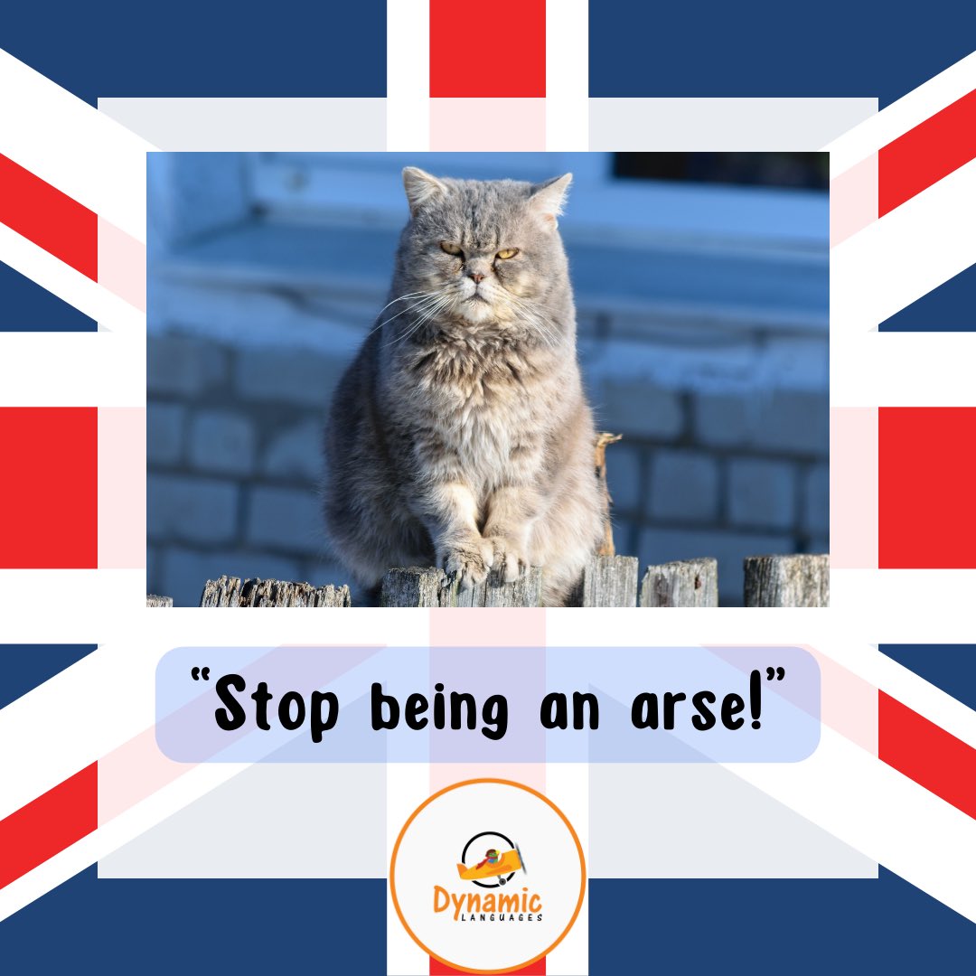 DynamicLangs's tweet photo. "Stop being an arse" is a colloquial British phrase, particularly common in Northern England. It's a playful or sometimes serious way of telling someone to stop being difficult, grumpy, or stubborn

#dynamiclanguages #learnenglish #phrase #vr #britishvsamerican #virtualreality https://t.co/z1Zdhgf02G
