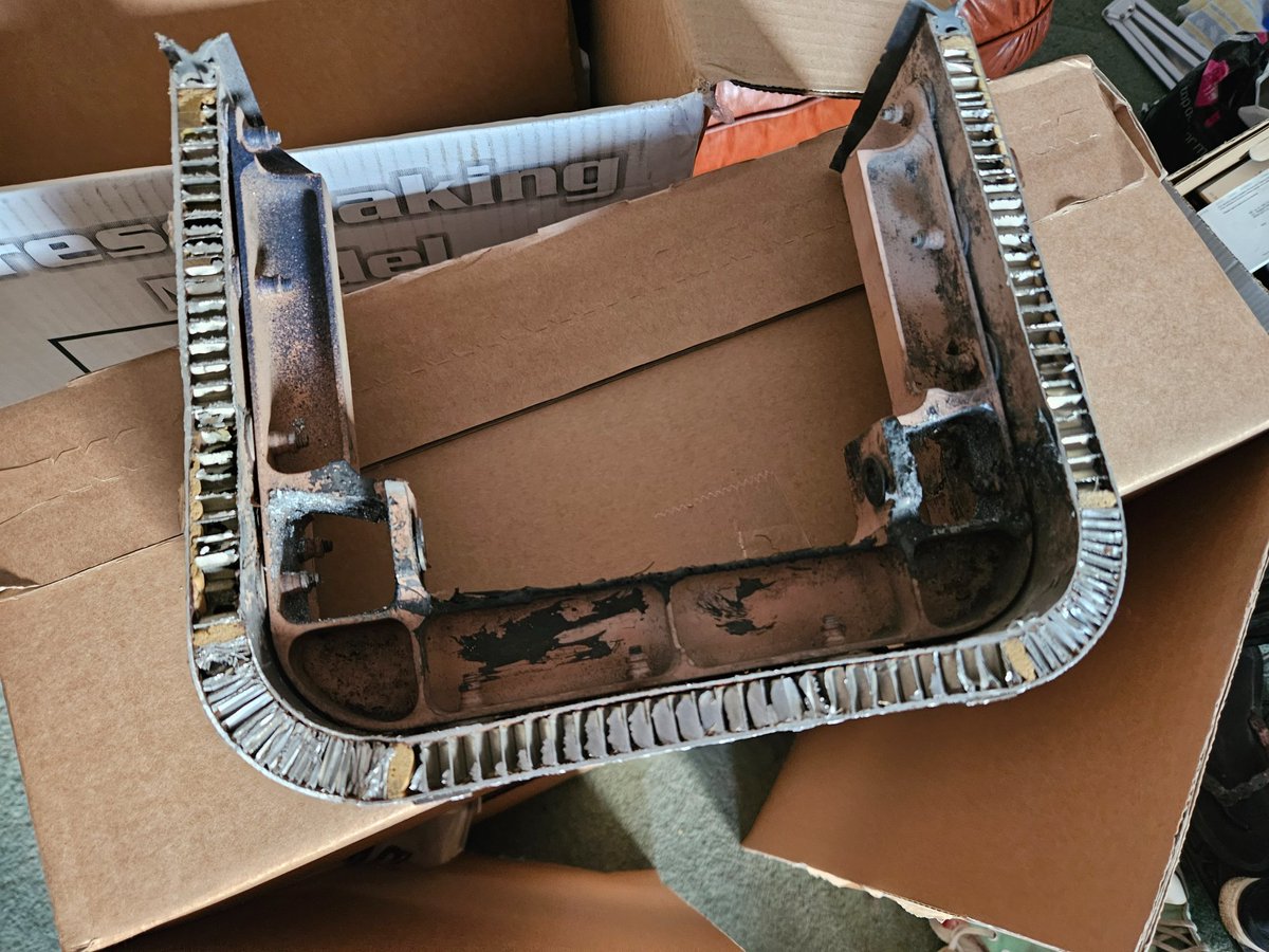 The Bluebird Project tweet media