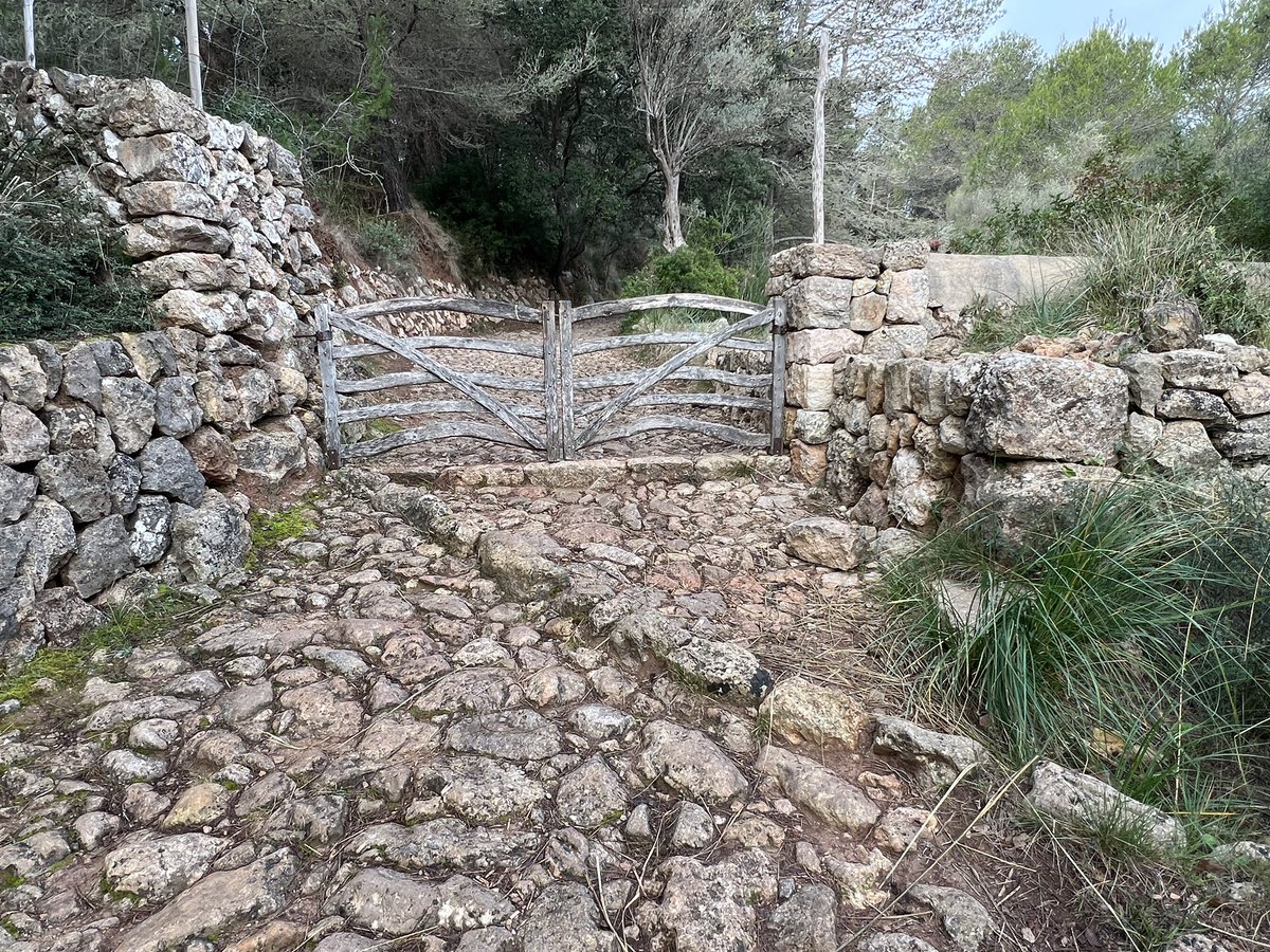 xiscoroig's tweet photo. Gestió de l’escorrentia sobre traces #GR221 #rutapedraenSec #Mallorca cc @MiquelTruyol @SimonGornes https://t.co/WCjUMItDOU