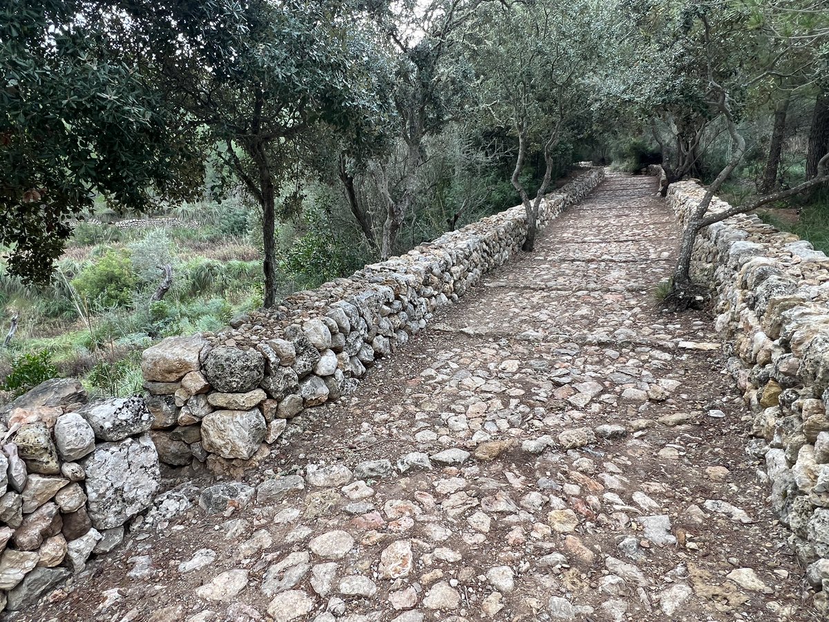xiscoroig's tweet photo. Gestió de l’escorrentia sobre traces #GR221 #rutapedraenSec #Mallorca cc @MiquelTruyol @SimonGornes https://t.co/WCjUMItDOU