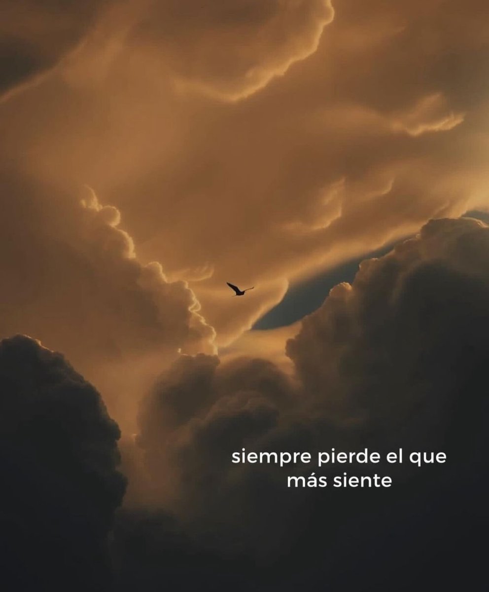 ramé (@escritosrame) on Twitter photo 