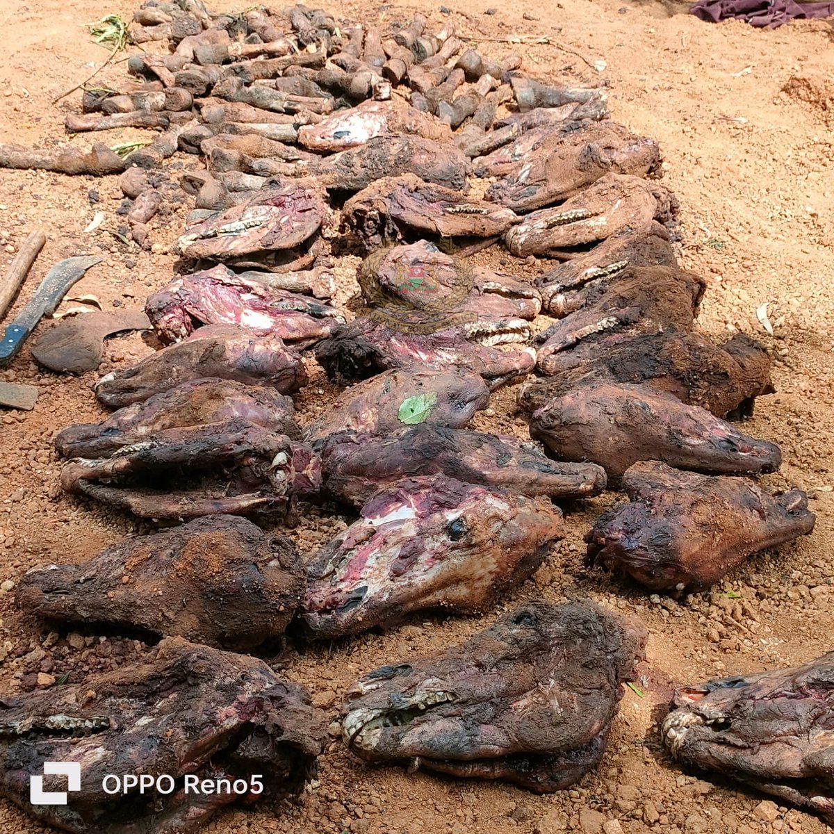 ILLEGAL SLAUGHTER AND DEALING OF DONKEY MEAT BUSINESS IN MAKUENI COUNTY On 30/12/2023 NPS Officers from Kwa Kathoka Police Post, Makueni Police Station within Makueni County, intercepted two motor vehicles Reg.No.