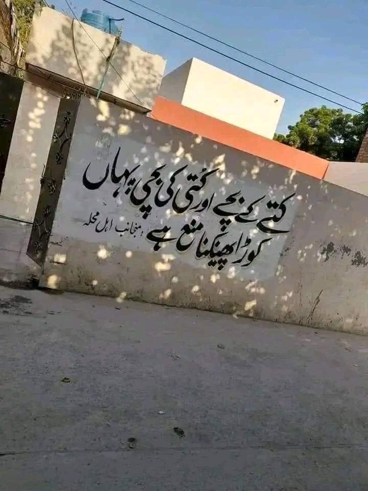 baskarmuftii's tweet photo. sidhi baat 😂 https://t.co/puZm41zjMS