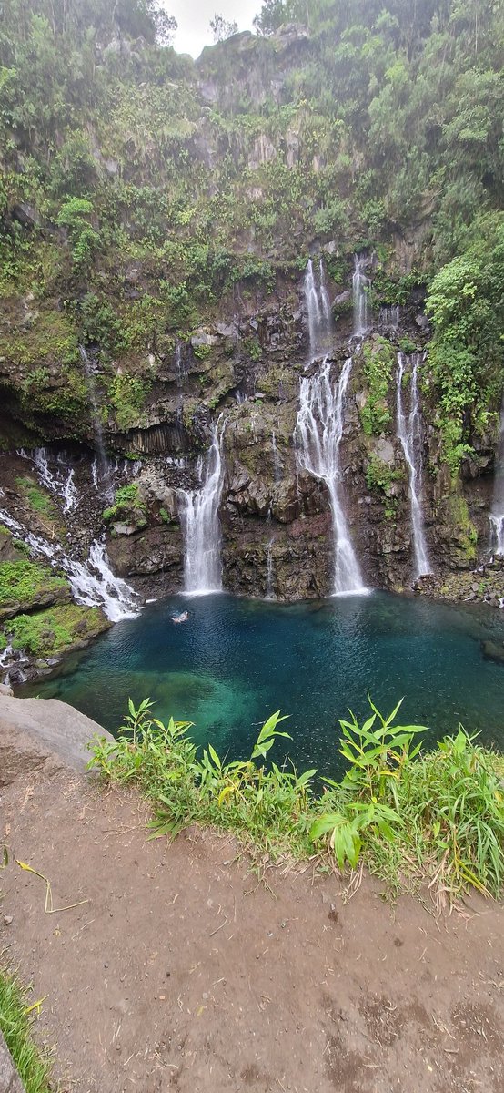 Sandy 🏺🪴 tweet media