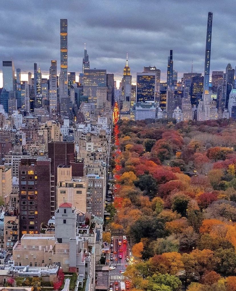 Central Park, New York