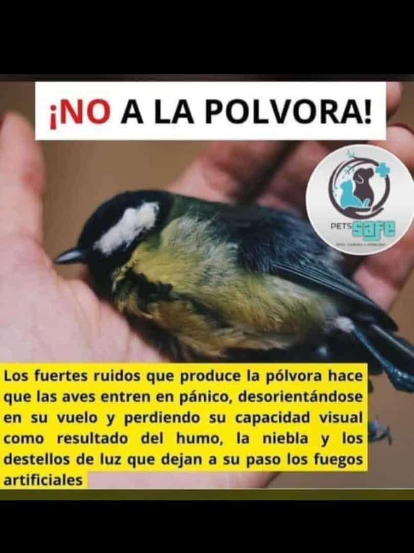 PaulaVivas80's tweet photo. @plumasycolas @TarekWiliamSaab https://t.co/D2PlSjXTab