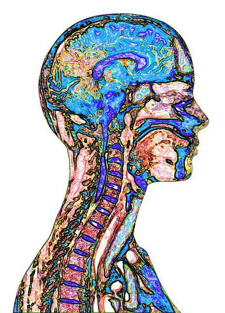 You're wired to lie to yourself.

It's time to overcome your own BS before 2024.

10 cognitive biases you must recognize and outsmart: