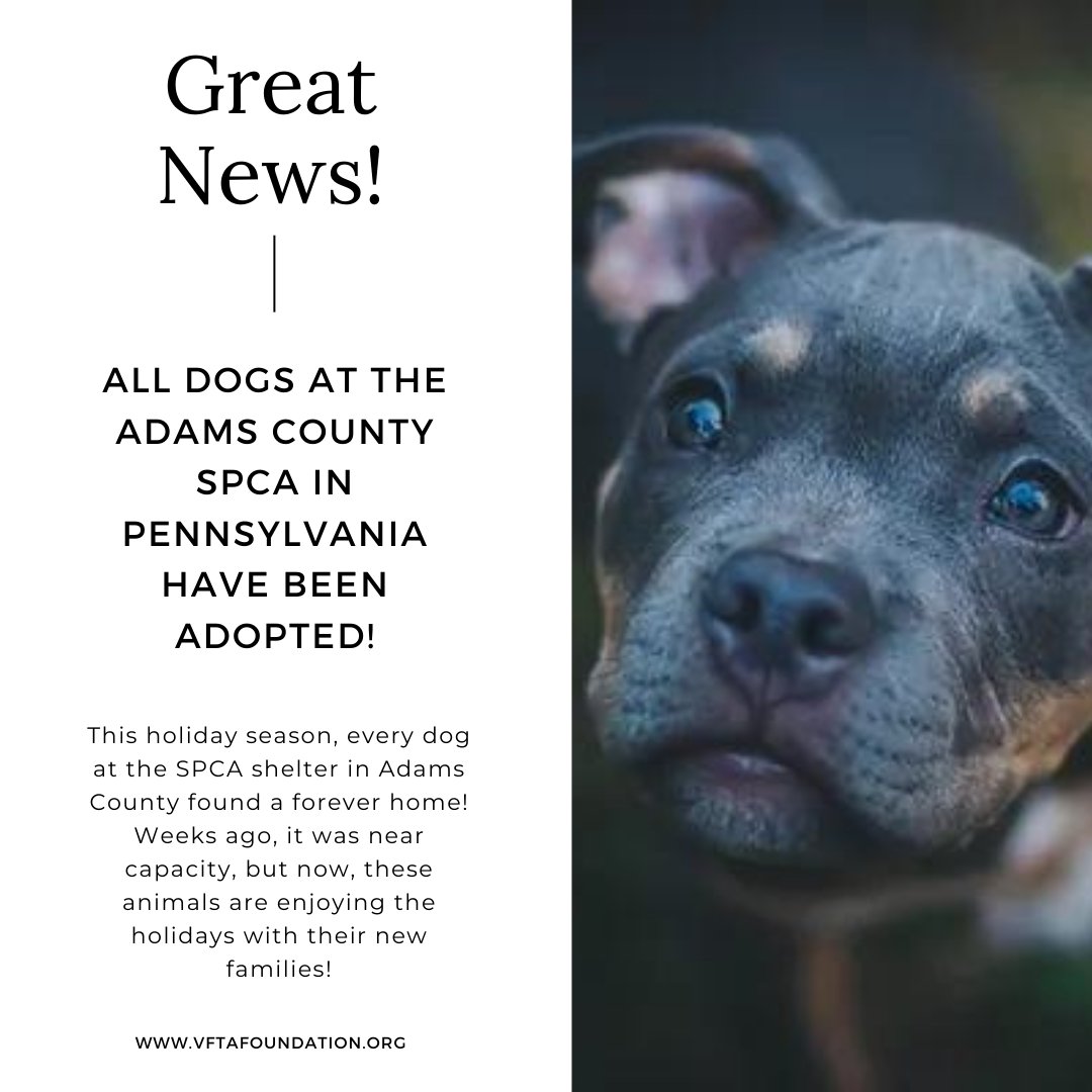 VFTAFoundation's tweet image. Just in time for the holiday season, all dogs sheltered at the Adams County SPCA in Pennsylvania have been adopted! If you want to welcome a furry friend to your family, please adopt from a shelter and NEVER buy from a breeder. #holidaypets #adoptdontshop #happyholidays