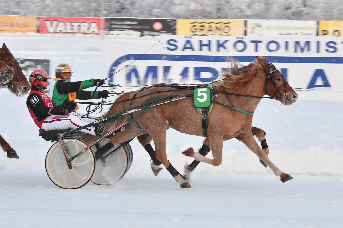 Vuoden viimeisissä Kavioliiga-raveissa Kuopiossa juhlittiin Divisioonafinaaleja! Kuva: Ulvin Elvis ja Santtu Raitala,  📸Juhani Hynynen
Päivän finaalivoittajat:
🥇 Ulvin Elvis
🥇 Zähikäinen
🥇 Taraori
🥇 Uptown Kemp
🥇 Furioso Wohlrab
🥇 Ilos Sansibar
🥇 Vauhtis
🥇 Global Beware