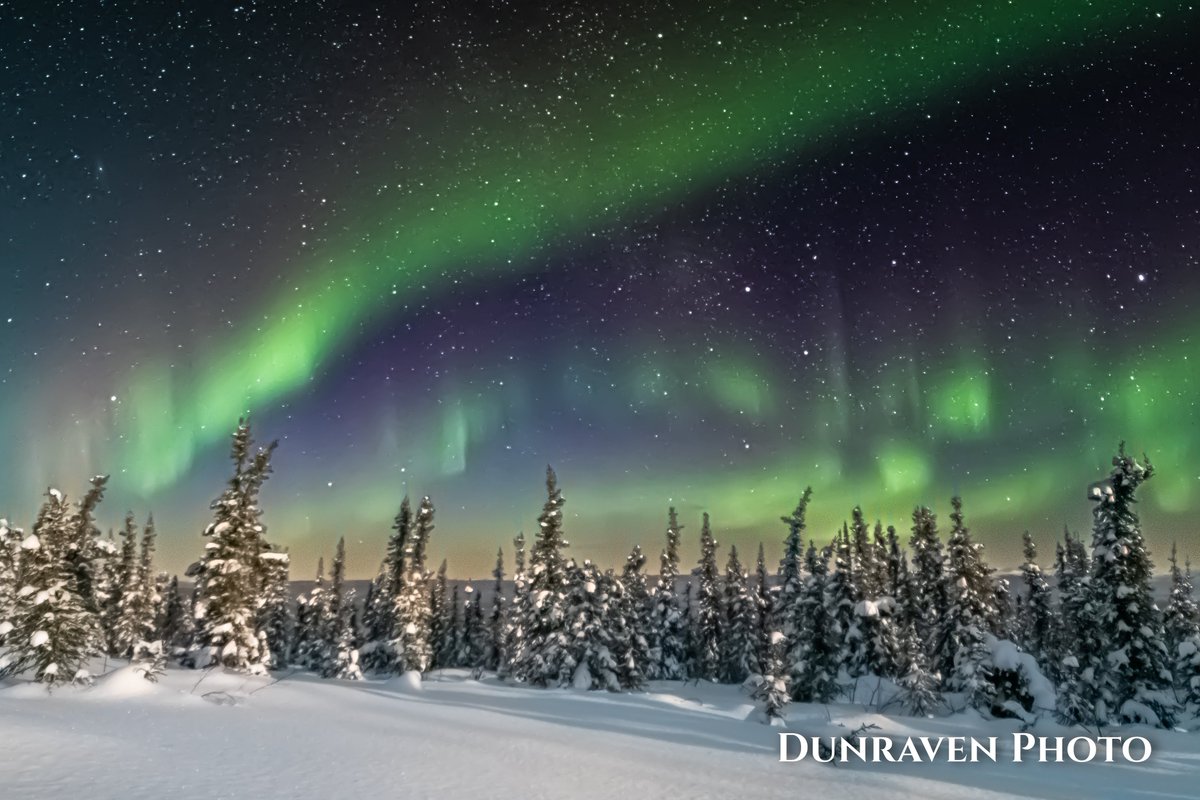 Brian_Hanser's tweet photo. Image-of-the-day # 364 of 365:

The Aurora Borealis as seen from Cleary Summit northeast of Fairbanks, AK.

#Photography https://t.co/f6tGdNWYzZ
