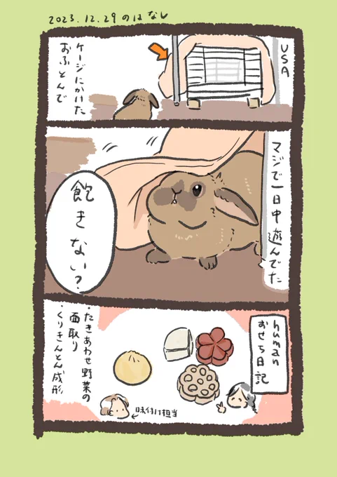 なんかブームらしい

#うさぎのいる生活 