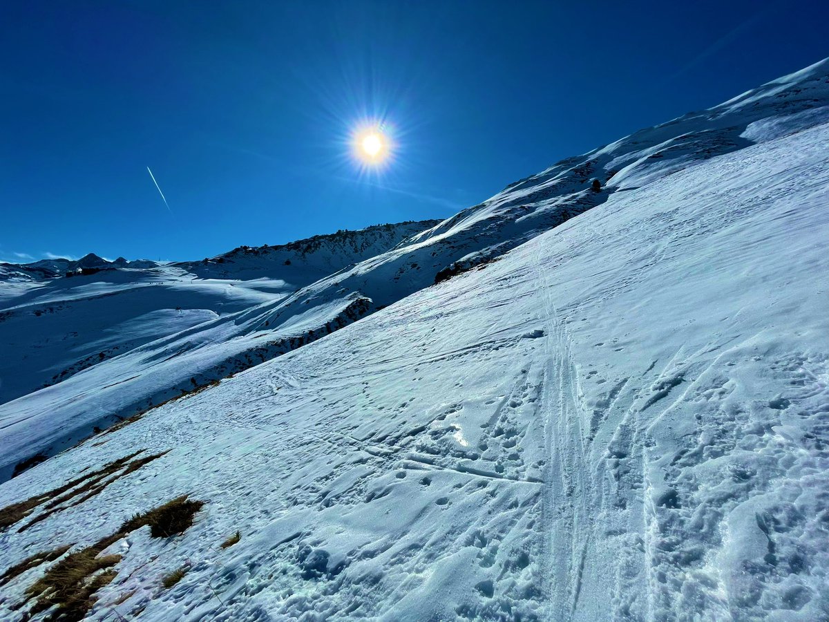 Carles Perera tweet media