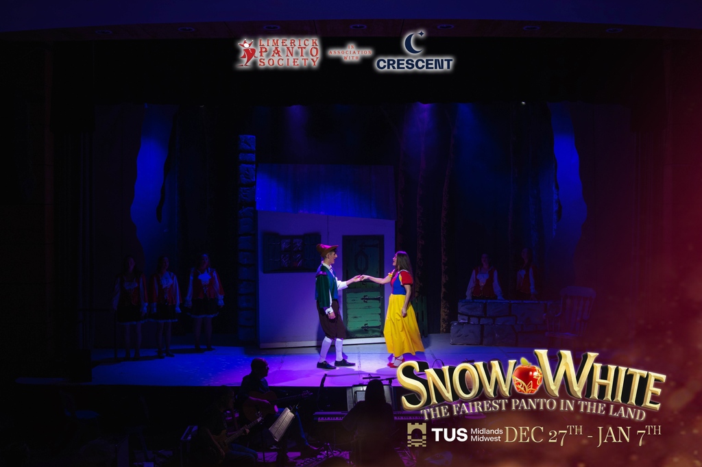 Limerick Panto Society tweet media