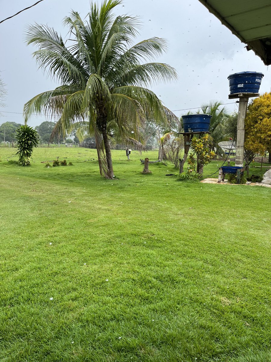 vão fazer 5 anos que eu troquei esse lugar por Tangará da Serra