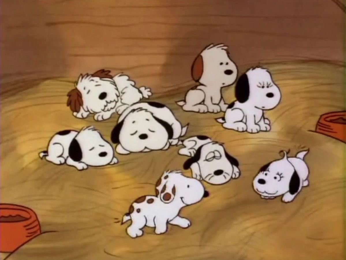 PeanutsNoCont's tweet photo. Snoopy of the Day 💗 https://t.co/okLlGaBNEL