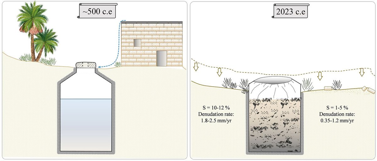 Nurit Shtober Zisu tweet media