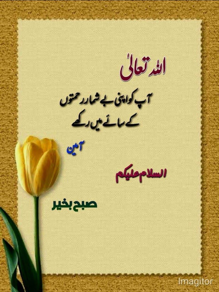 امین ثم امین اللہ پاک ہمیں اپنےحفظ و امان میں رکھے