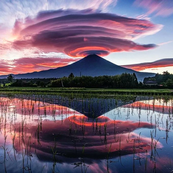 This is a majestic view of Mt. Fuji surmounted by lenticular clouds while reflected in a lake. 

[📸 Taitan21]