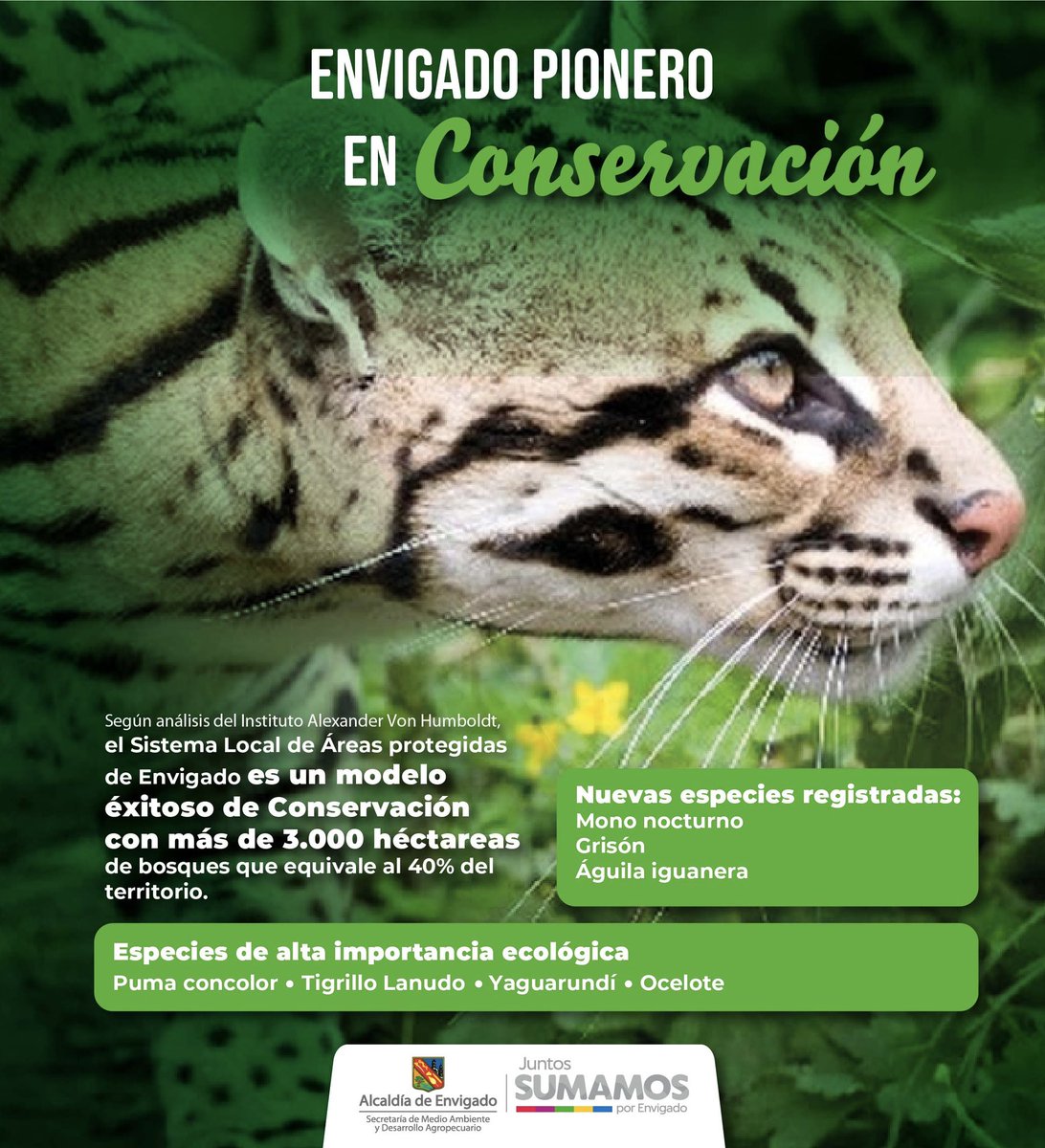 Secretaría de Medio Ambiente de Envigado tweet media