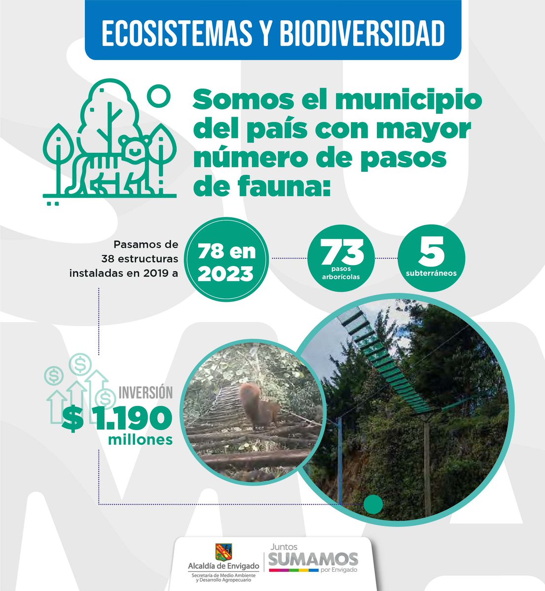 Secretaría de Medio Ambiente de Envigado tweet media