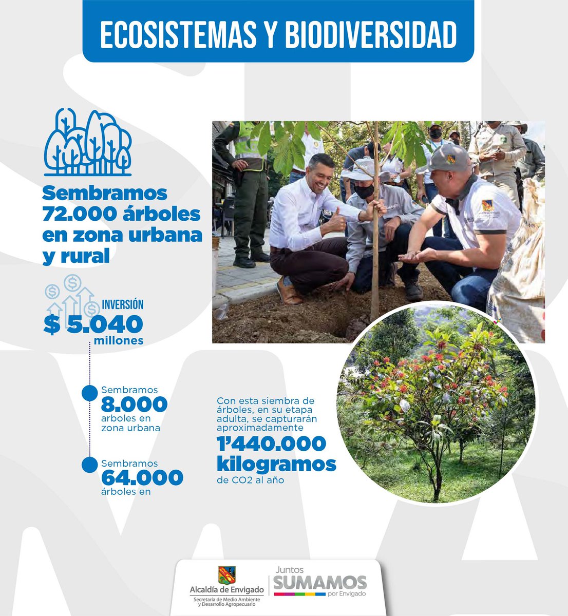 Según análisis del Instituto Alexander Von Humboldt, Envigado es un modelo exitoso de conservación con un Sistema Local de Áreas Protegidas conformado por el 40% del territorio. 🐆🌳👇

#juntossumamosporenvigado