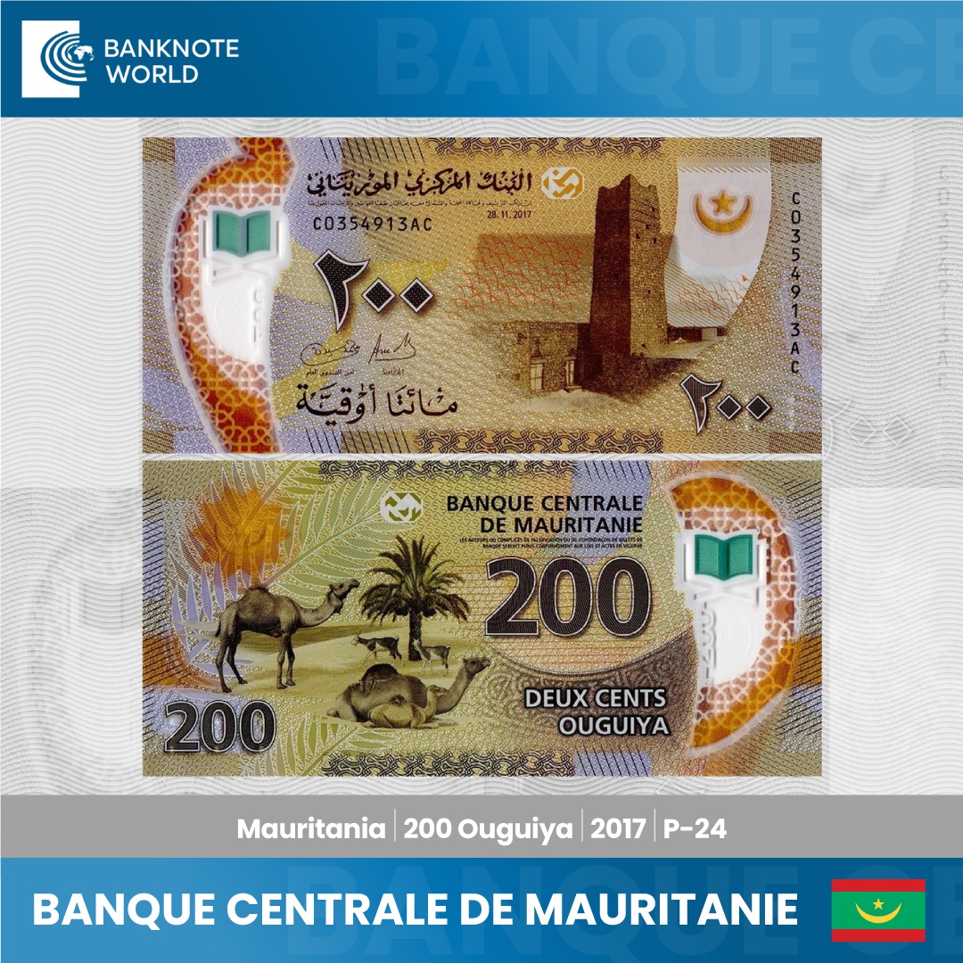 banknoteworld's tweet image. Explore the beauty of Mauritania with the 2017 polymer banknote! 🏰📜 Mauritania 200 Ouguiya features cultural symbols like the Ouadane mosque tower, camels, and more. Dive into the nation&apos;s art and history. #MauritaniaCurrency #BanknoteDesign #collectibles #uniquegifts