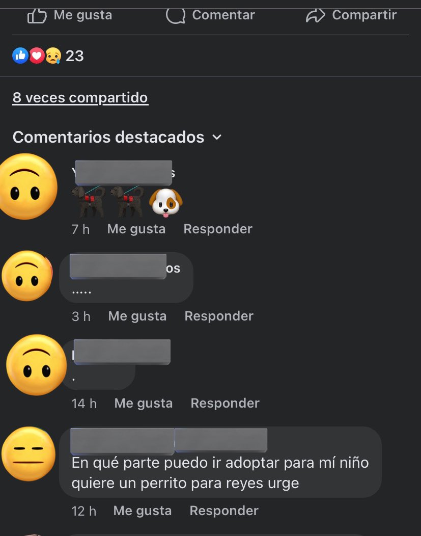 HELA_MORE's tweet photo. A lo mejor estoy amargada pero ese comentario en una publicación de Galletita no me gusto para nada.
Los perritos no se adoptan para ser regalos y menos para niños,no son juguetes. https://t.co/9wws1ZPf2E