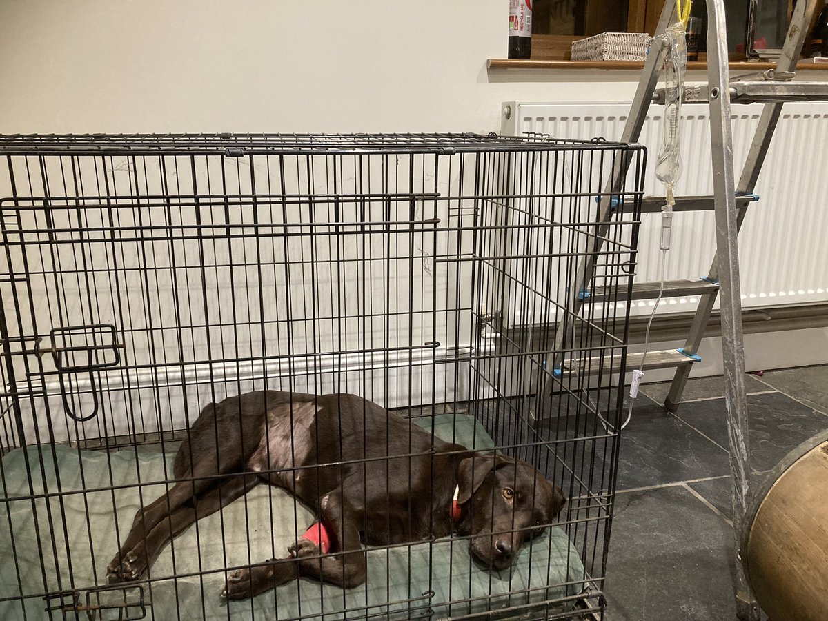 Charles Goadby tweet media