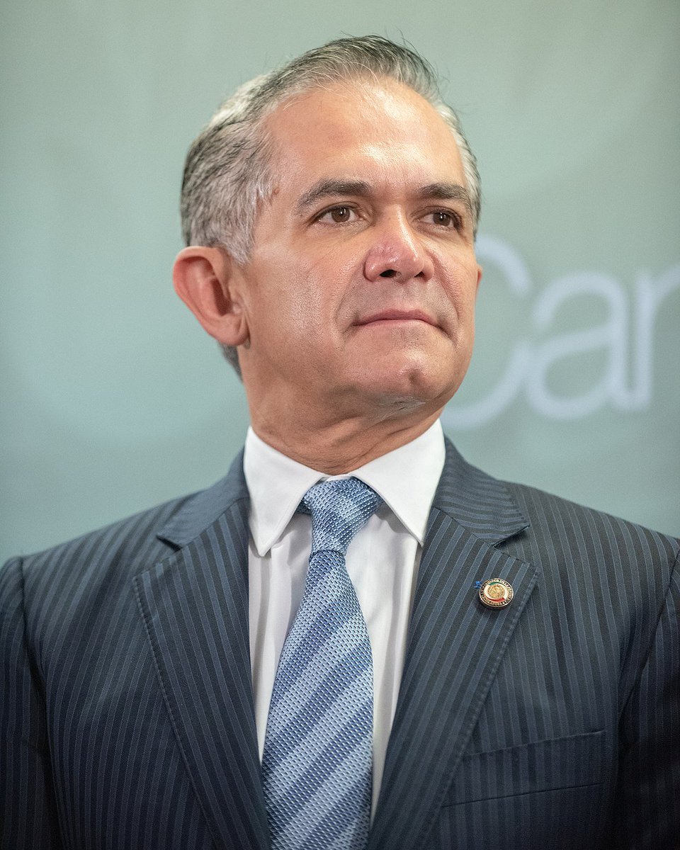 mark_voll's tweet photo. @javirmz77 ¿Éste no va?
Aaah no, que es senador de la oposición, esos no se tocan. https://t.co/fObG85gteH