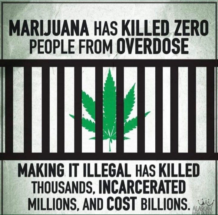 PoppitGroup's tweet photo. @PoppotGroup @codoc Let the data speak for itself 
There’s heaps of empirical evidence and statistical evidence about the many benefits of cannabis  It’s time to #LegalizeIt

The opioid slinger KFinn can say whatever he wants to keep selling drugs. Americans support weed https://t.co/B2G5k0lk5Q https://t.co/lpjc9B9PAI