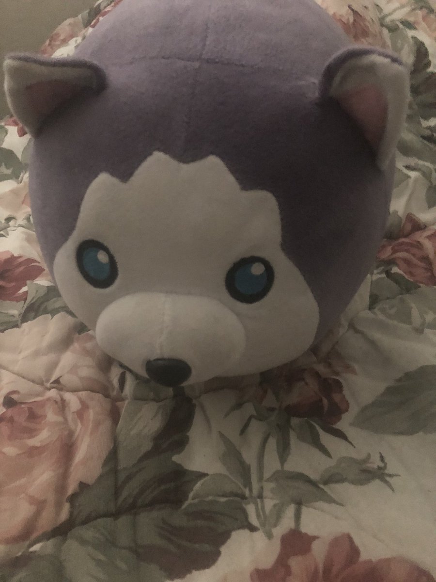 MintKagamine's tweet image. Look at it!
I still have the plush #Wolfplush