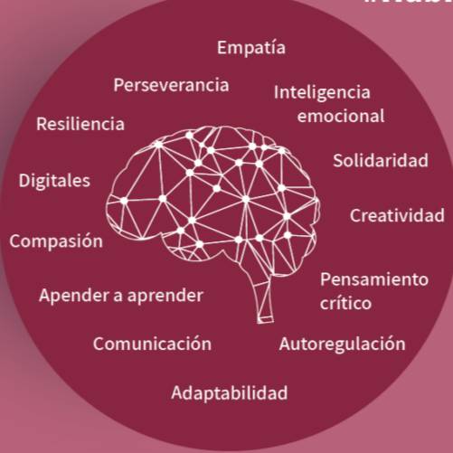 Los Agentes de Cambio que lideran el emprendimiento y la innovación social (soluciones innovadoras para problemas sociales)  tienen modelos de habilidades similares al Gestor del Cambio de una organización privada o pública

Modelo de Habilidades Ashoka para Innovadores Sociales