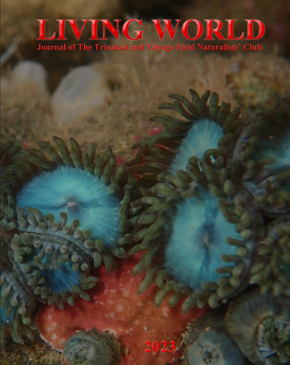 We're excited to end the year with the publication of our 2023 issue of Living World, our #peerreviewed #openaccess #naturalhistory journal. Packed full of NEW knowledge about local &amp; regional #biodiversity 
ttfnc.org/livingworld/in… 
Cover photo by article author <a href="/StantonBelford/">StantonBelford, Ph.D. 🌊🤿🧬🏝</a>